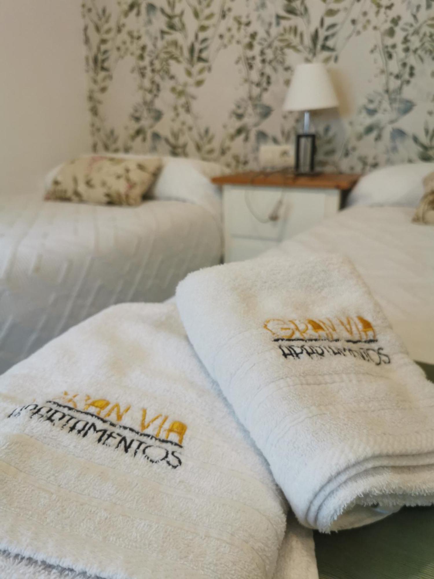 Apartamentos Gran Via Salamanca Værelse billede